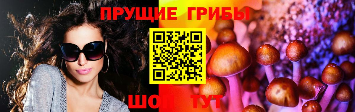 Псилоцибиновые грибы GOLDEN TEACHER Фурманов