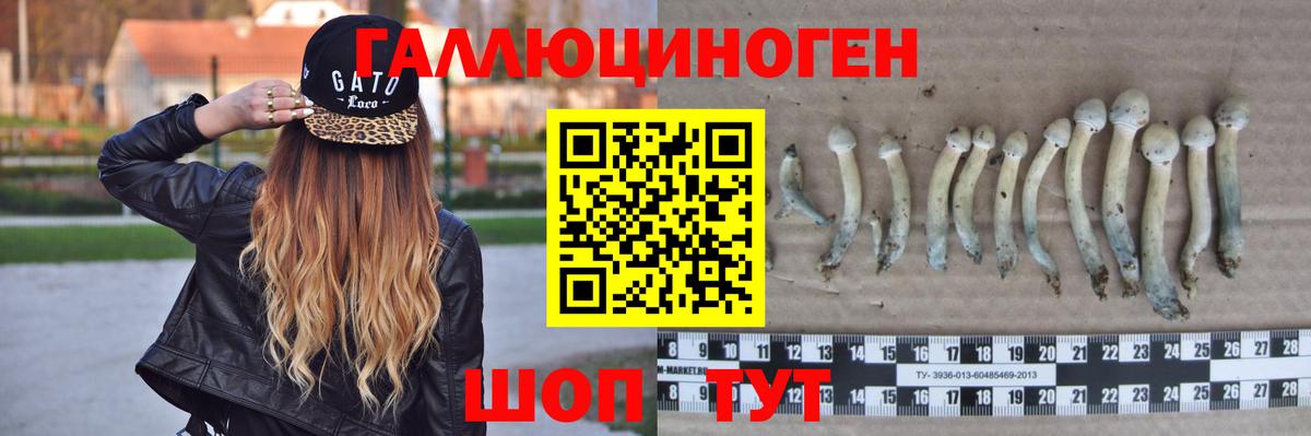 Галлюциногенные грибы Psilocybe  Вход с VPN  Галлюциногенные грибы ЛСД  Фурманов 